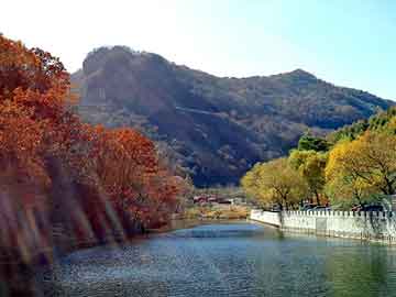 澳门天天彩期期精准平肖，建湖seo关键词优化